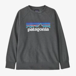 Patagonia Kid's Lightweight Crew Sweatshirt 5 Patagonia Kid's Lightweight Crew Sweatshirt -Chic Fit Wear Shop 21854 P6 LOGO FORGE GREY l
