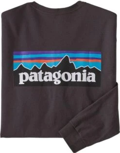 Patagonia Men's Long Sleeve P-6 Logo Responsibili-Tee