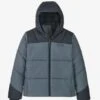 Patagonia Boy's Synthetic Puffer Hoody