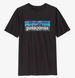 Patagonia Boys Regenerative Organic Cotton P-6 Logo T