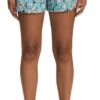 The North Face Women's Class V Short - SHORT