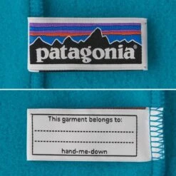 Patagonia K's Microdini 1/2 Zip P/O -Chic Fit Wear Shop ks20micro20po20alt201