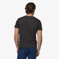 Patagonia Men's Regenerative Organic LW Tee -Chic Fit Wear Shop lw20tee20alt202